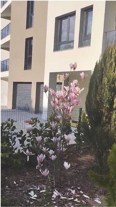 ИМА АКТ 16.3 стаен Малинова Долина Студентски град