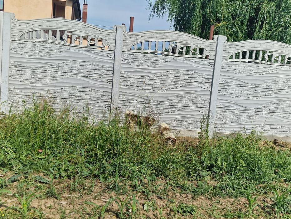 Vând gard din beton