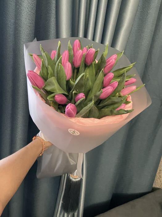 Тюльпаны голландские