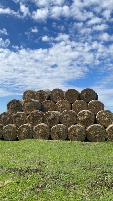 Vând baloți lucernă/lucernă fan