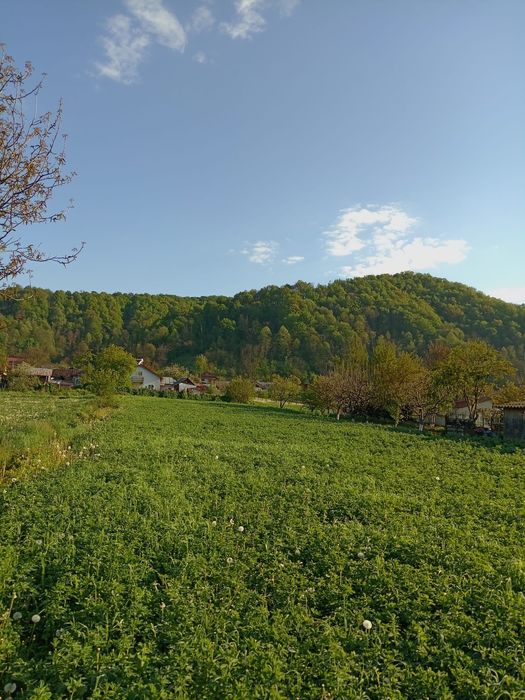 Vând teren Valea Lungă Dâmbovița