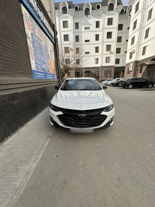 Malilu XL 2018  oq Jemchuk