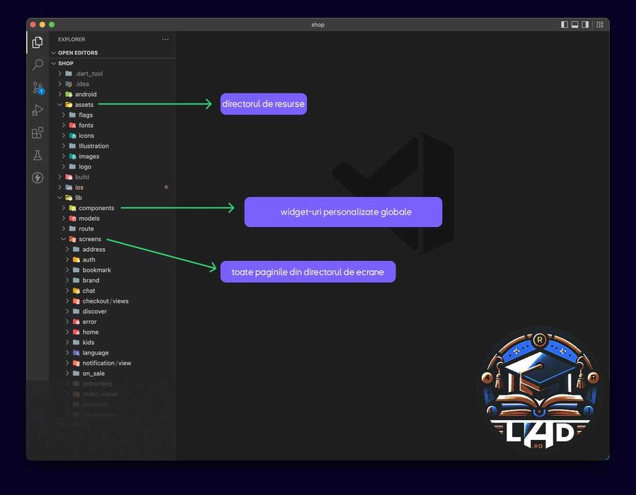 Licență Programare, Disertație Informatică & Aplicații Software