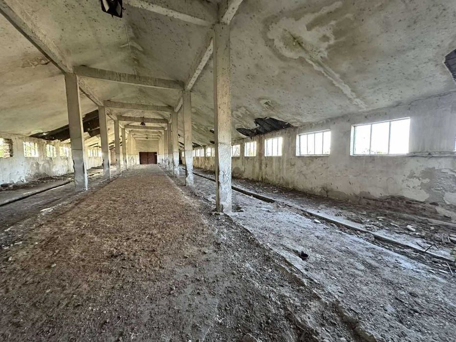 Продава се Промишлена сграда в с. Маноле, Област Пловдив - 5500 кв.м за 20 €/кв.м - Снимка #5