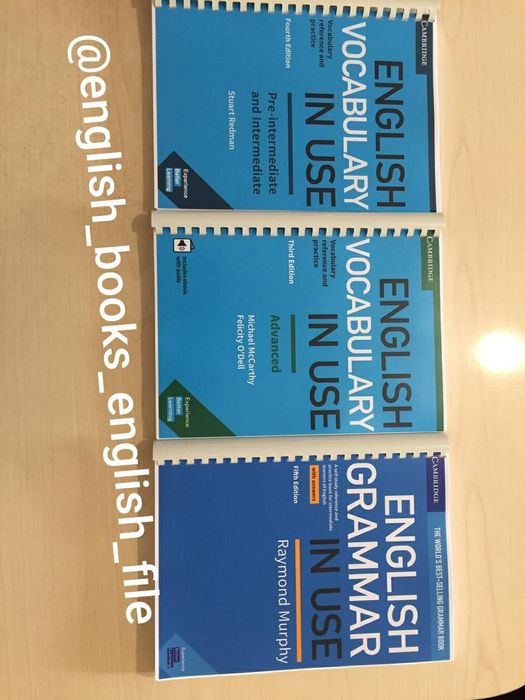 English grammar in use. Family and friends. English file. Английские к