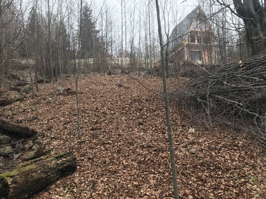 Teren intravilan 649 mp – Zona Rusu, la marginea pădurii
