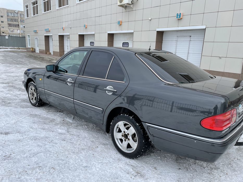 Продам надежного немца