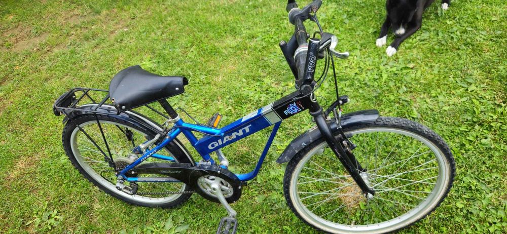 Biciclete pentru copii 9-14 ani