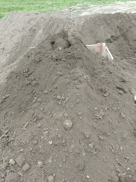 Черназем навоз чернозём навоз