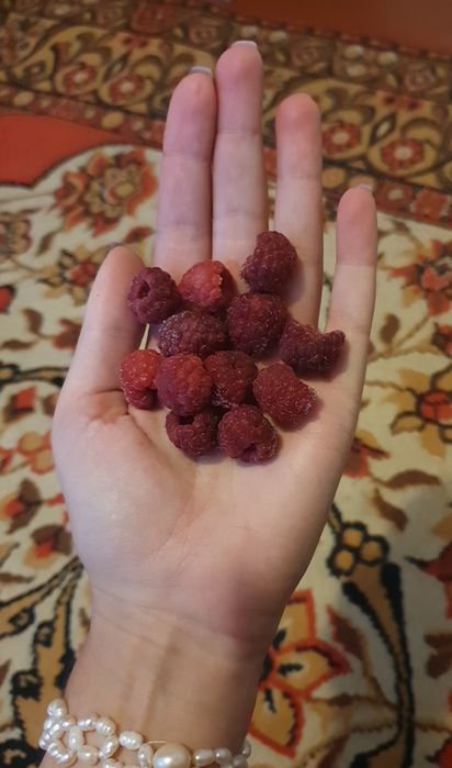 Малина без ГМО свеже-мороженная