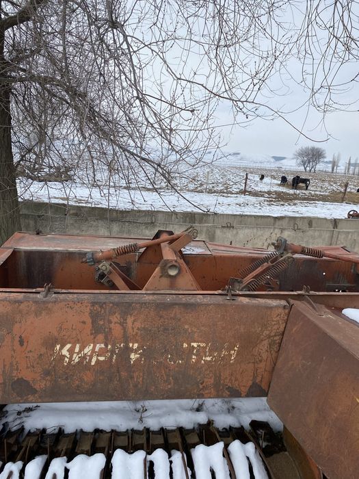 Қырғыстан пірес