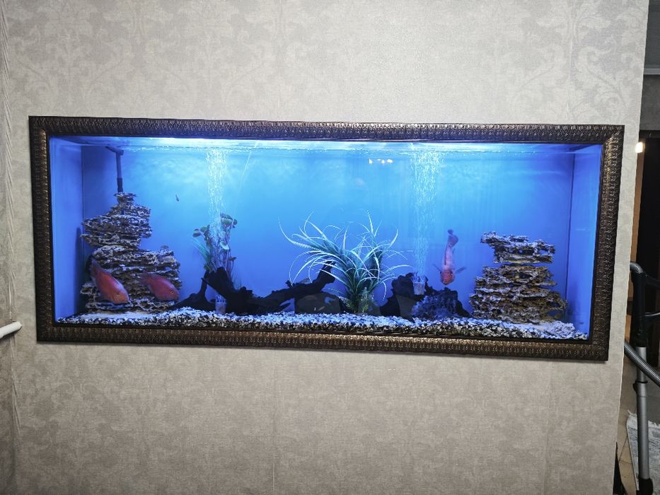 Аквариум 600 литров