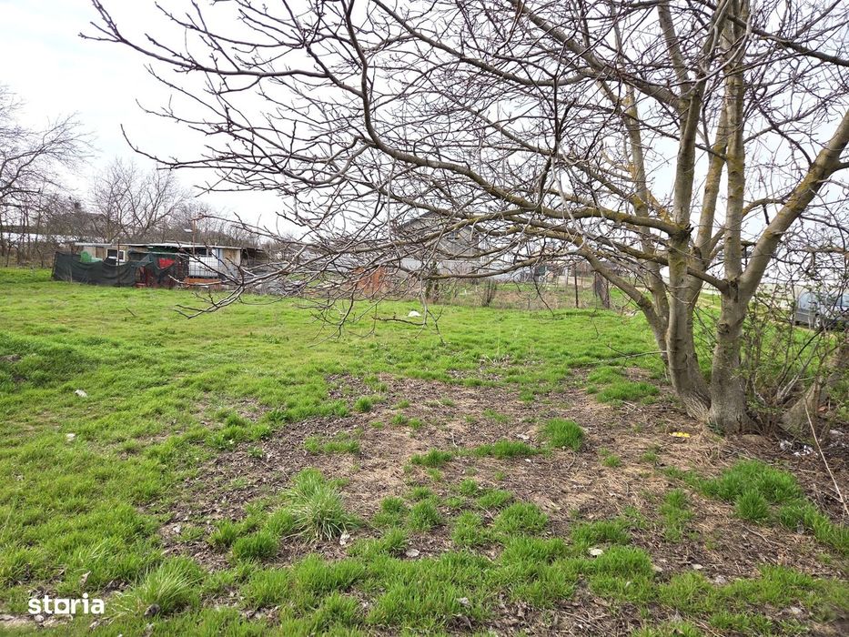 Jilava–Teren Intravilan Construibil–615 mp–57 EUR/mp-COMISION 0%