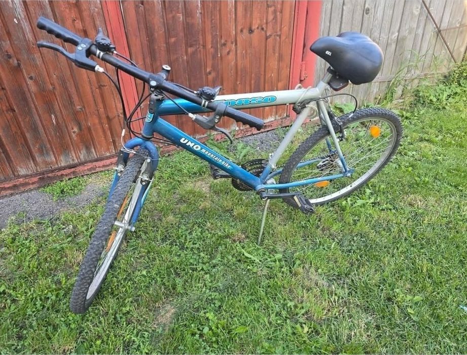 Bicicleta de oras