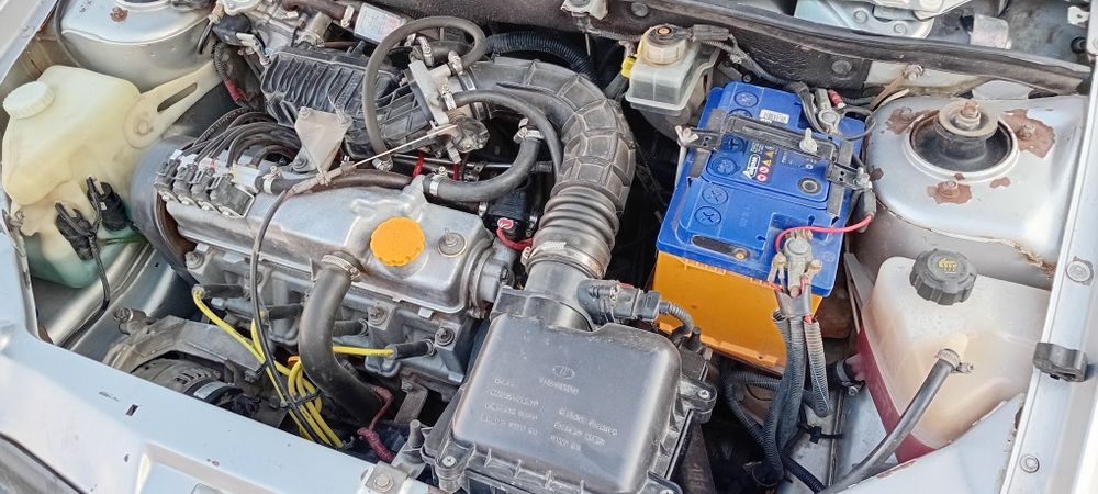 Калина универсал