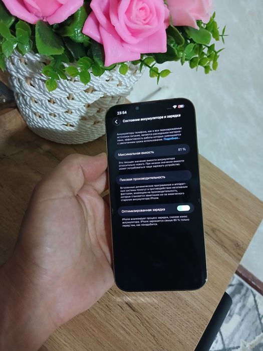 Ayfon 13 pro max