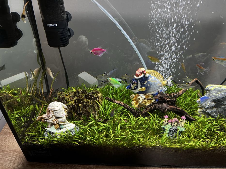 Аквариум aquael 72л