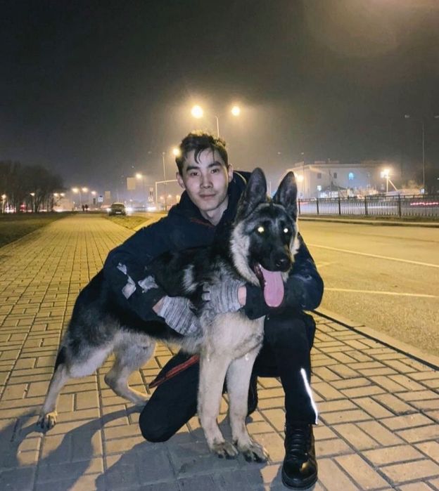 Щенки немецких овчарок