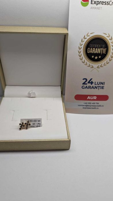 (AG42 Roman) Cercei aur 14K B.13252