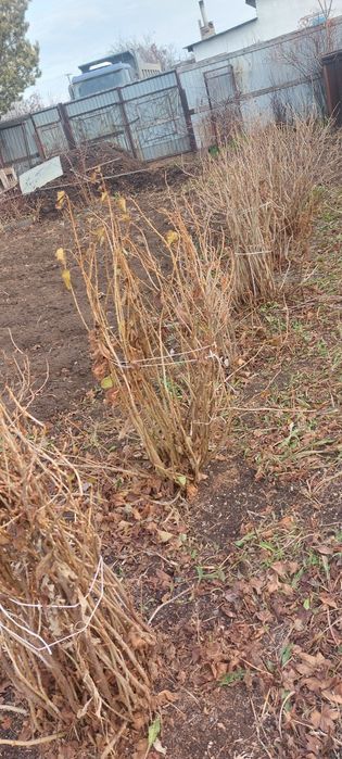 Продам дачный участок