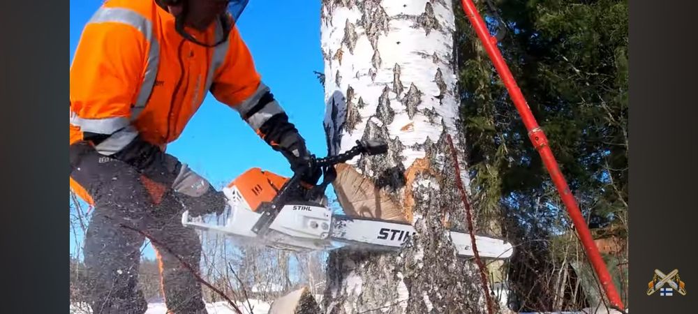 Обрезка деревьев спилить дерево бензопила услуги дарахт кесиш хизмати
