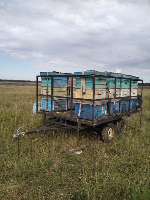 Продам прицеп с ульями готовый бизнес и всем оборудованием.