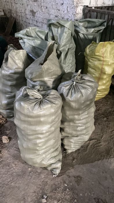 Продается картофель на хранение