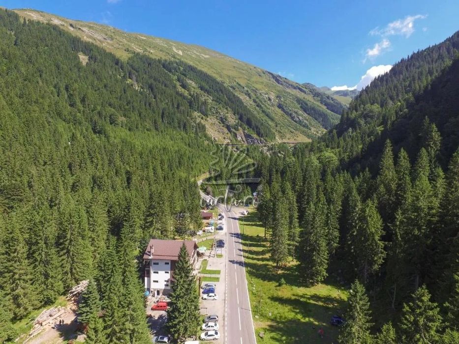 Teren de Vanzare  Transfagarasan-Arges, zona Conacul Ursului.