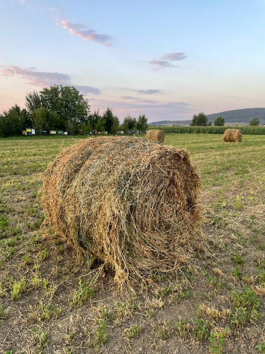 Vând baloți  lucernă și otavă