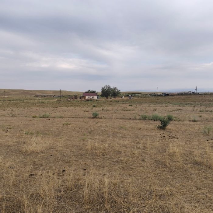 Кашар, Фазенда, Жер, 120гектар