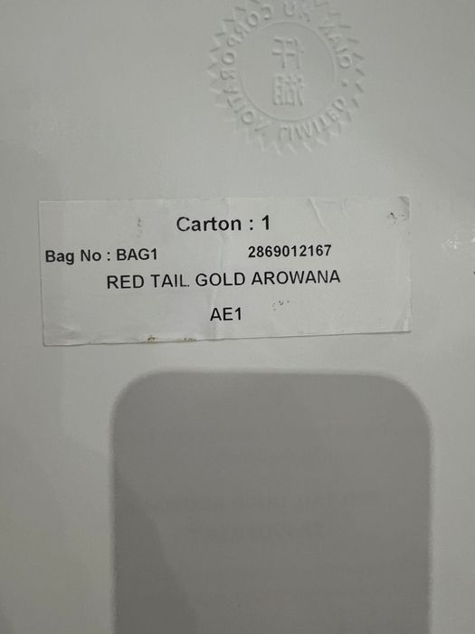 Продам рыбу Аравана