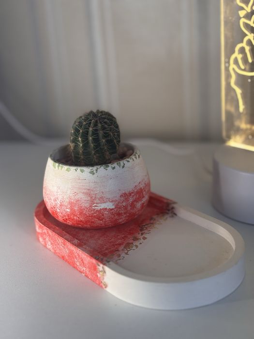 Набор из гипса с кактусом