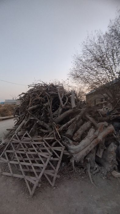 Олма у́тин кунда сотилади