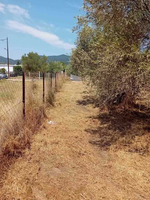 Продава парцел за бизнес с площ 1035м2 в Паралия Врасна,Северна Гърция