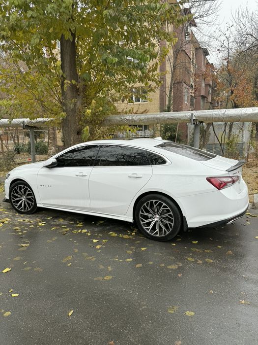 19 diska baloni bilan