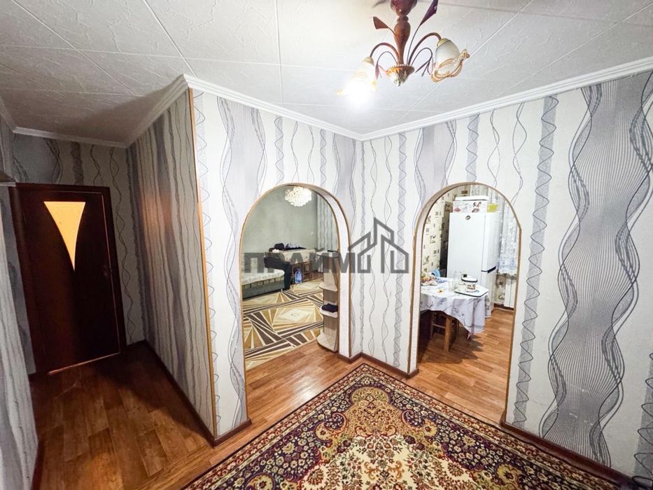 ПРОДАМ 2Х. Жулдыз (Кастер ПРАЙМ)