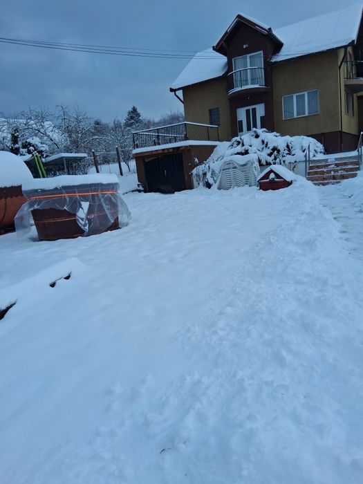 Vand Vila + Casa + Hala + solar , suprafață 5000mp