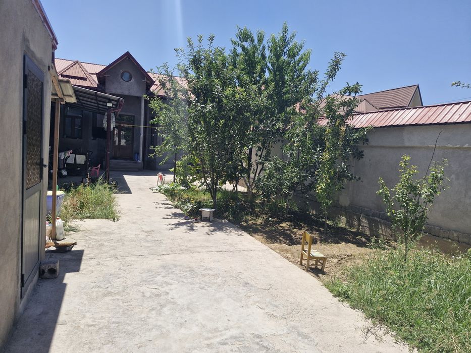 Bektemir tuman qoyluvdan 2,5 klametr