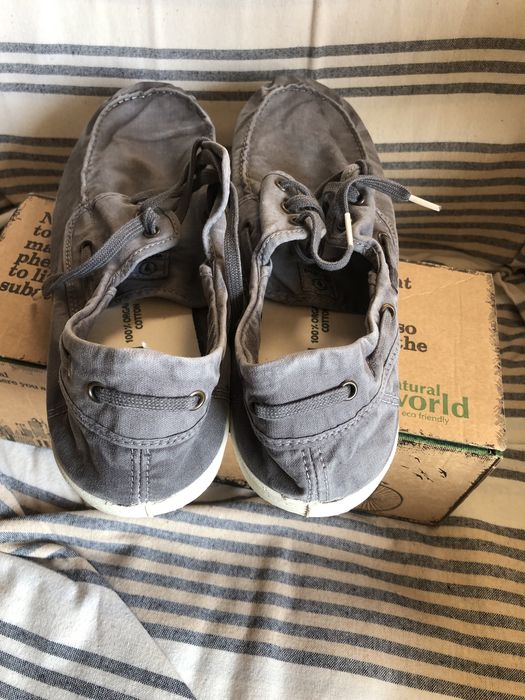 mocasini natural world