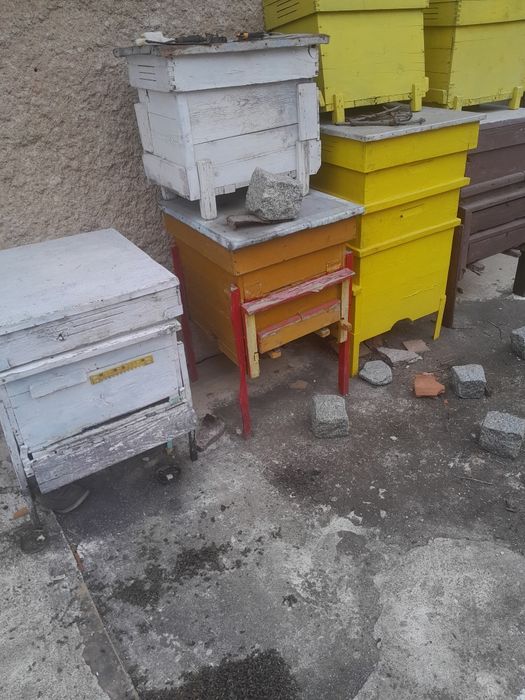 Стари кошари с магазини в добро състояние