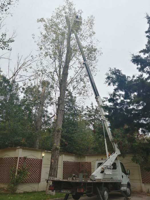 Închiriez Nacela tip prb 21m (Nacela de inchiriat) Toaletez copaci