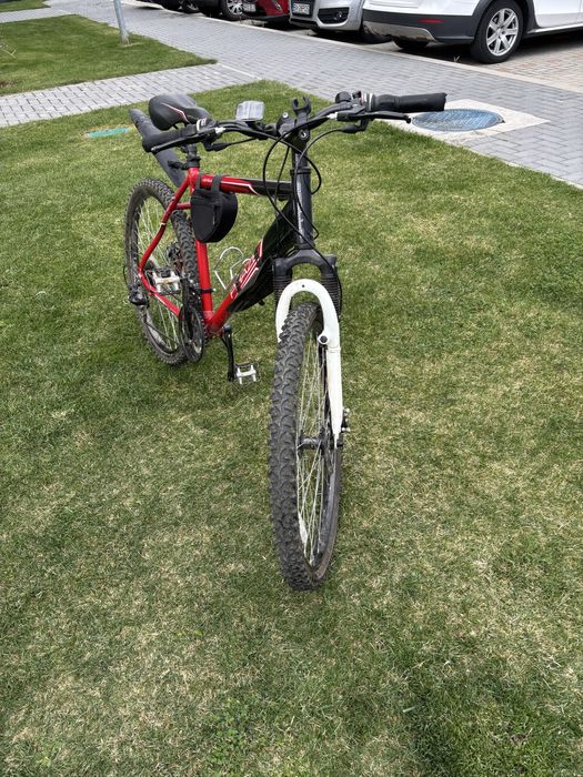 Bicicletă Bărbati Phaze