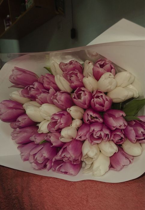 тульпаны 51 штук свежие