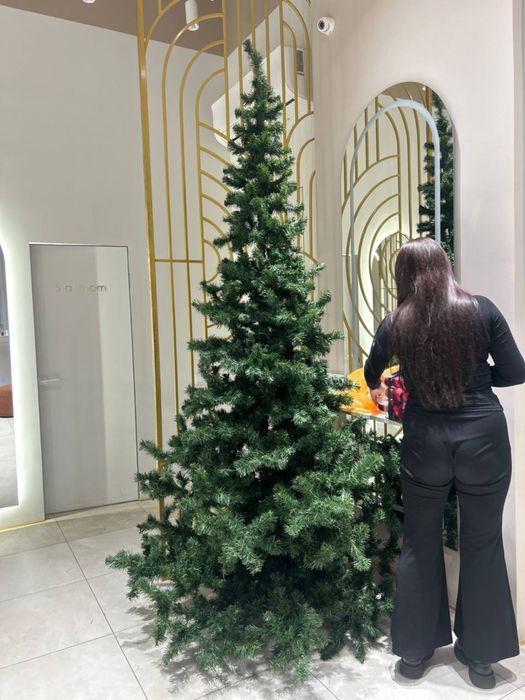 Елка высокая, 280см