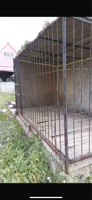 Варье для собаки большой