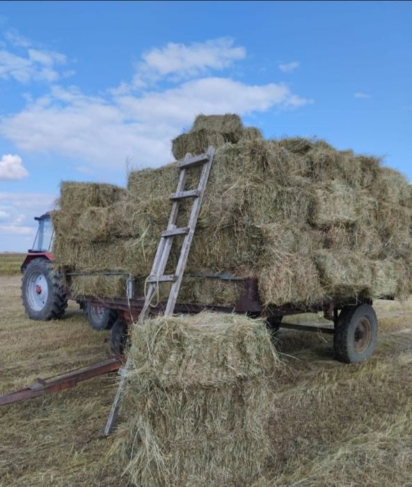 Сено тюкованное луговое