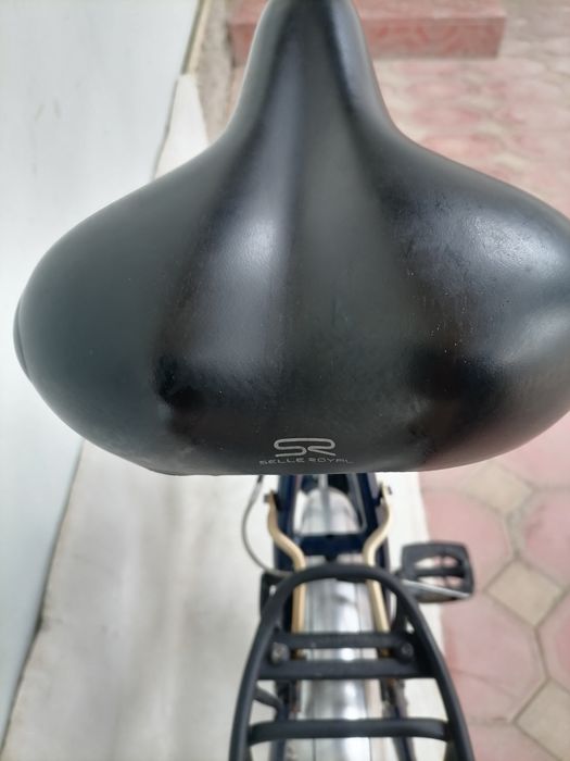 Немецкий Голландский велосипед велик Германский Германия велосипед