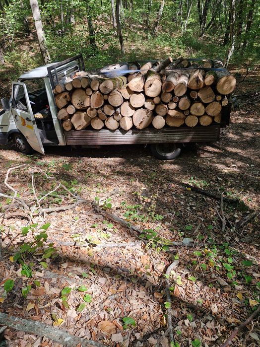 Lemn de foc esenta tare si moale