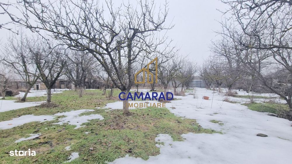 Teren de vanzare in Tamadau Mare, jud. Calarasi – Strada Principala