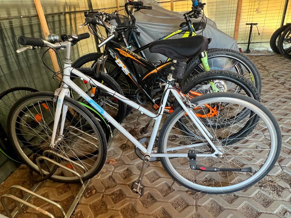 Bicicleta oras Pegas